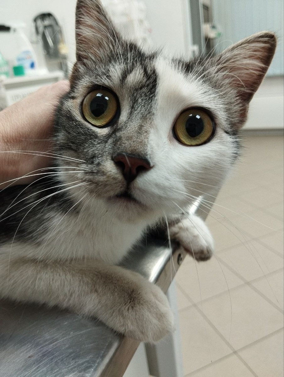 Ой, ты про меня? Про меня ещё никто в интернете не рассказвал!!