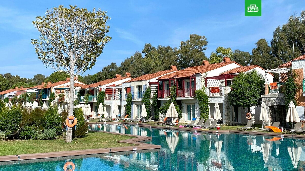    Фото: nodirkh / unsplash.com