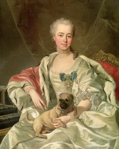 Княгиня Екатерина Дмитриевна Голицына с мопсом, 1759
