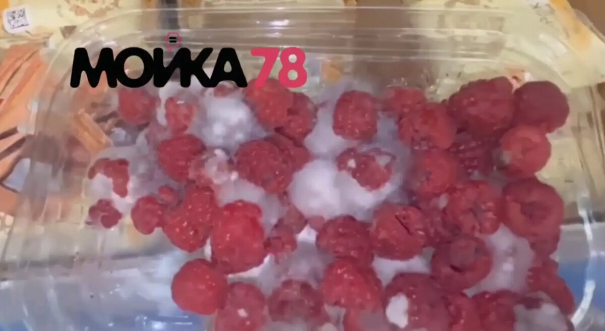    Фото: стоп-кадр видео от читательницы Мойки78