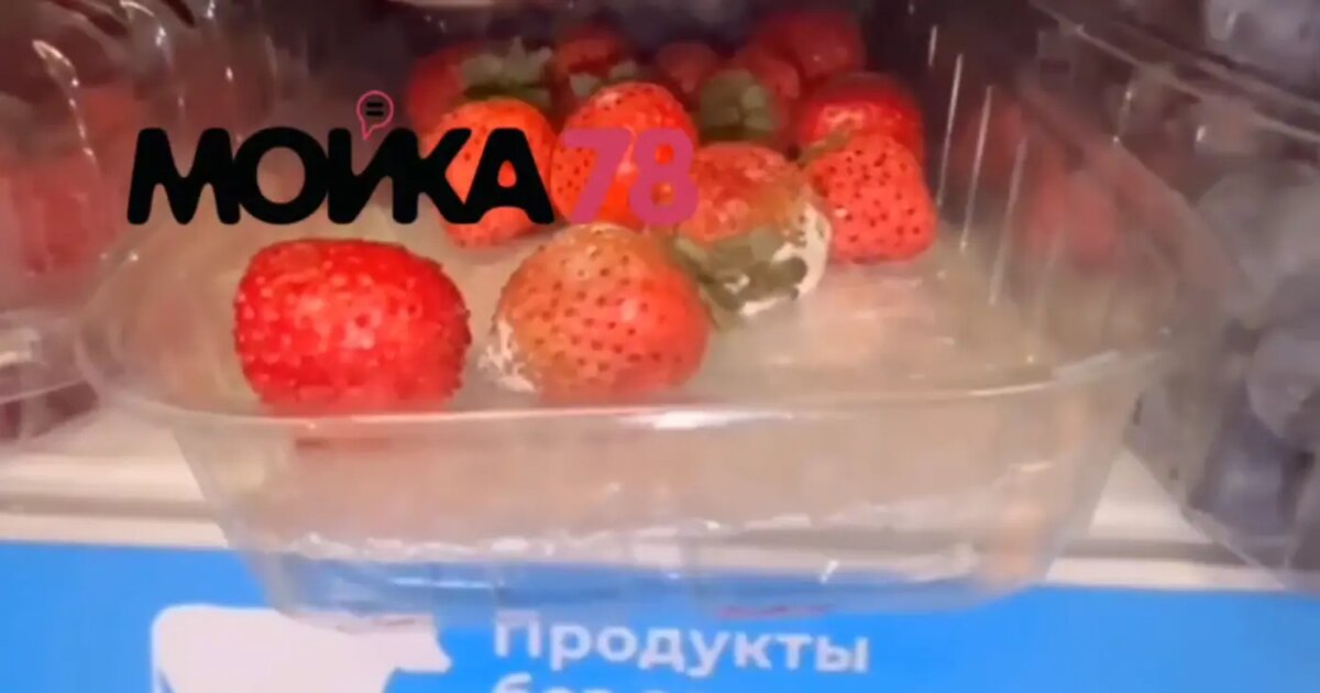    Фото: стоп-кадр видео от читательницы Мойки78