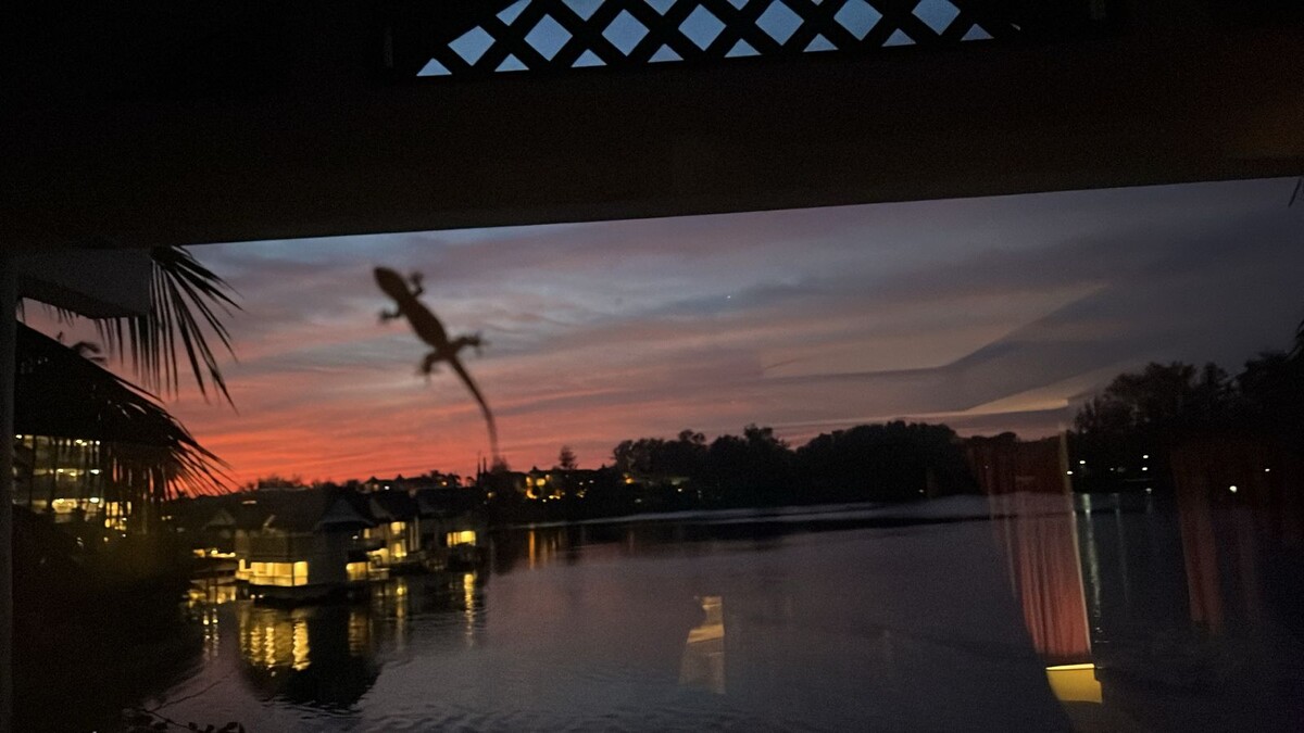 Кусочек красоты от отдыхающих. ЗДЕСЬ и далее фото автора и(или) из личного архива автора, если не указано иначе.