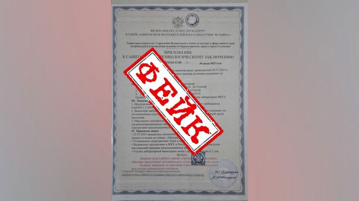    Фото: МЦУ Геленджика.