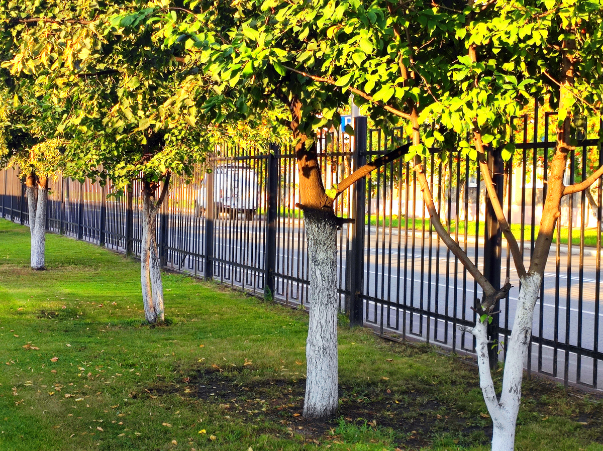 Фото автора 