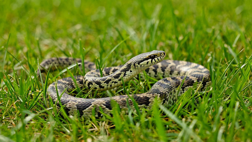   Сгенерировано с помощью ИИ