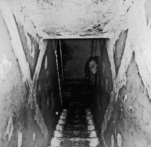 Неужели домовой показался? (Фото: img-s1.onedio.com).