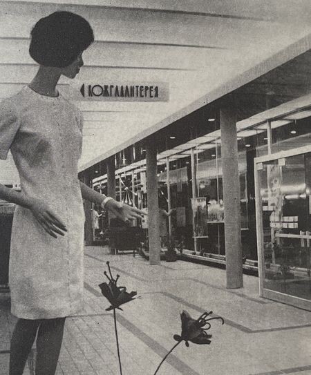 В магазине "Людмила", фотография 1966 года