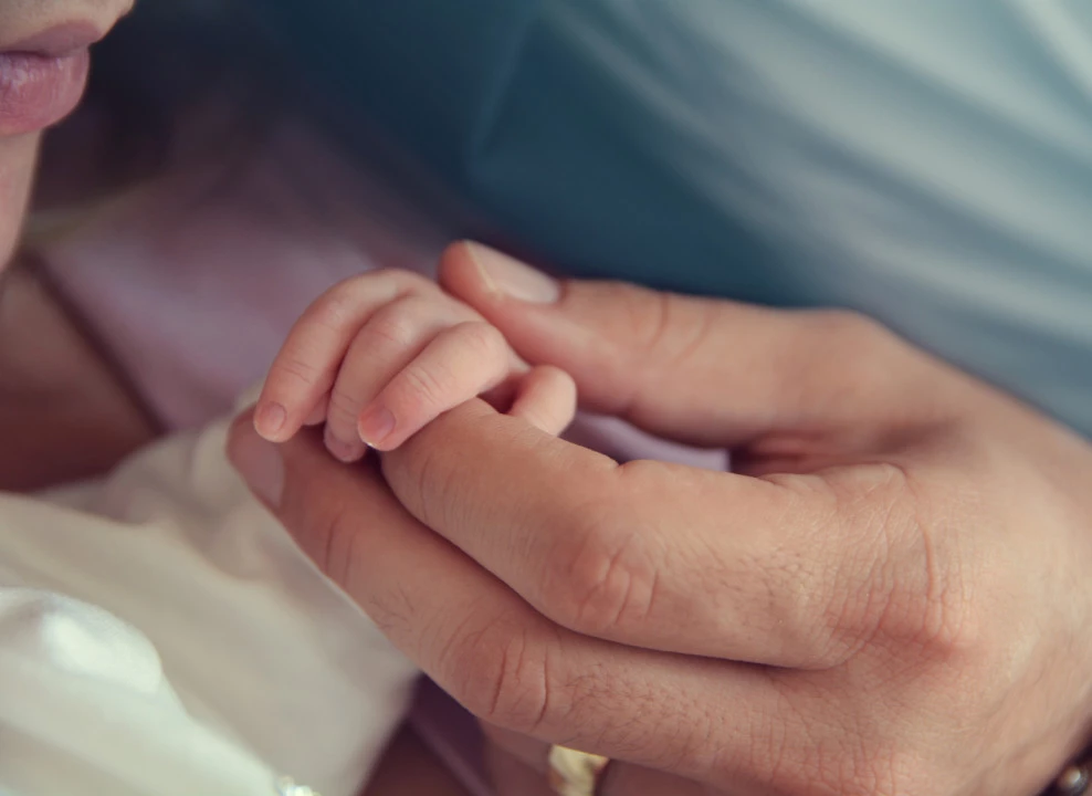 Фото: erdem kaya | Shutterstock | Fotodom