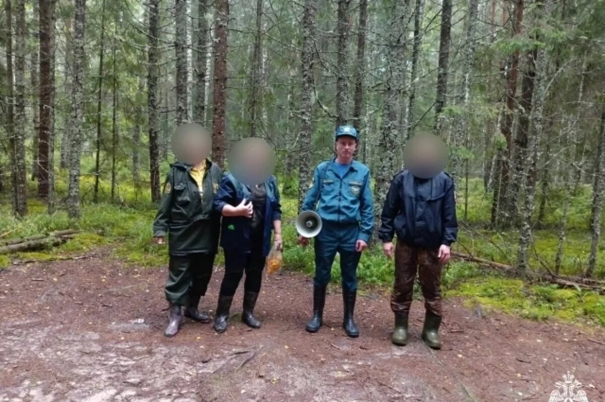    Потерявшихся грибников в Тверской области искали спасатели и волонтёры