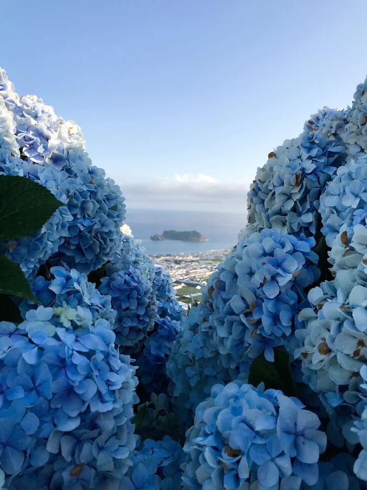 Фото с просторов интернета