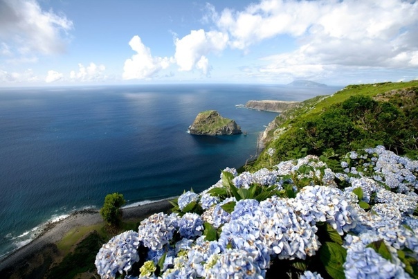 Фото с просторов интернета