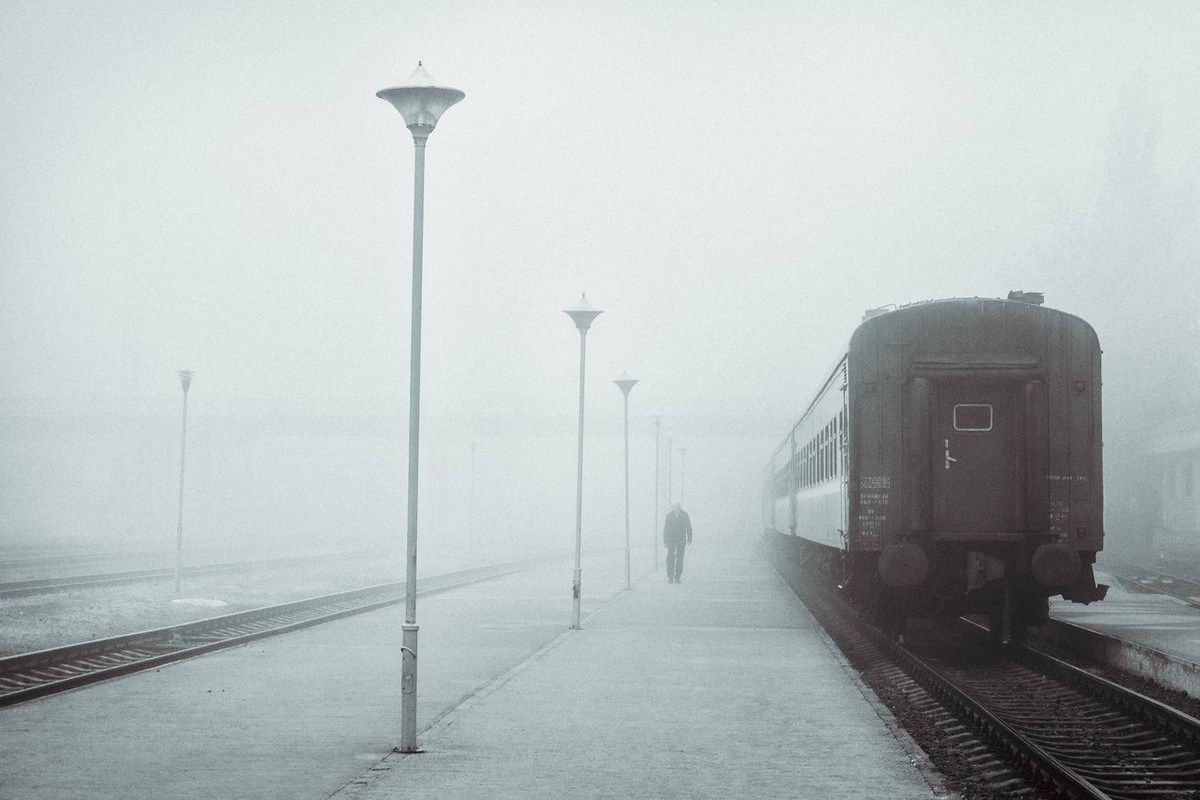 фото из интернета