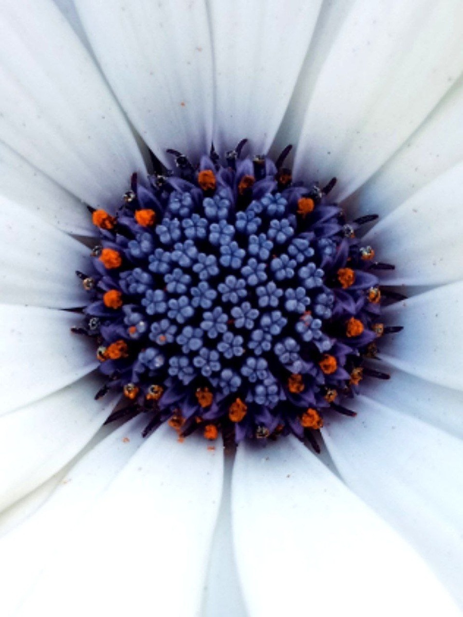 Фото автора канала