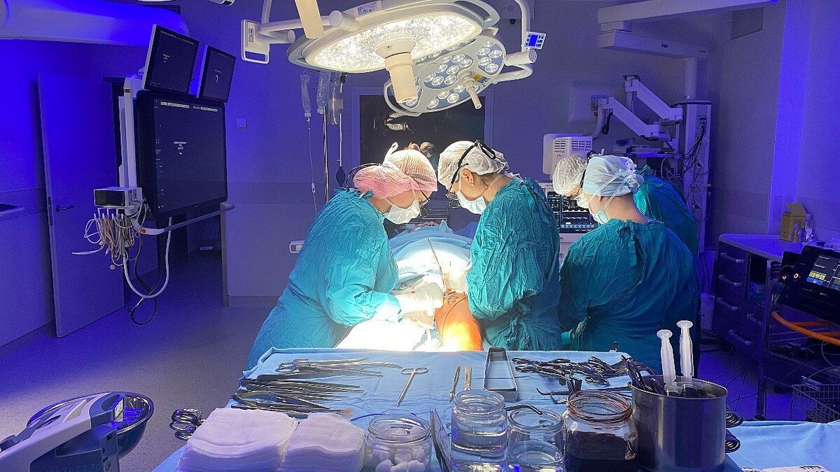    Фото: телеканал «Краснодар»