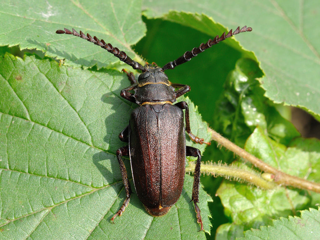 Фотография взята из открытых источников