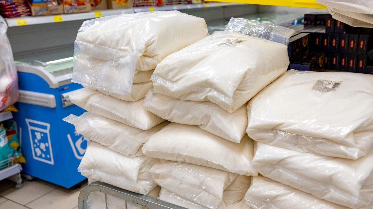    Фото: Андрей Ткачев / «Ямал-Медиа»