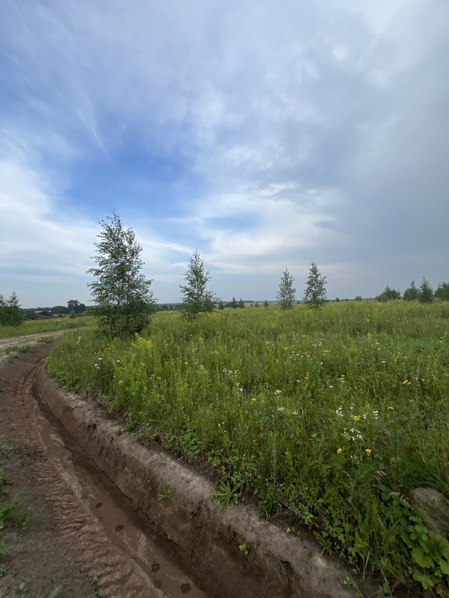 Территория клубного коттеджного поселка для предпринимателей "ОднаВолна" в Тульской области. Фото из личного архива автора.
