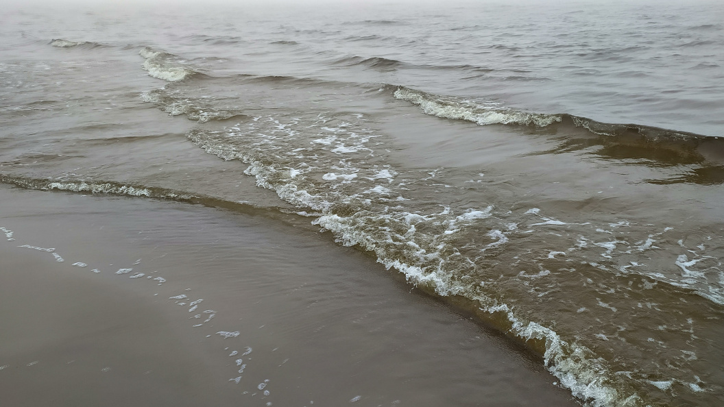    Фото: Victor Lisitsyn, Виктор Л/Globallookpress