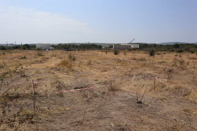    Фото: t.me/BogodistovAA