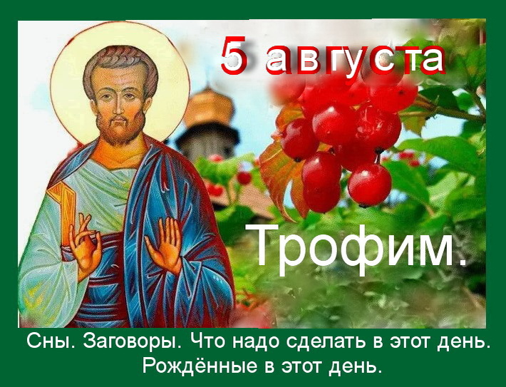 Источник : Яндекс картинки.