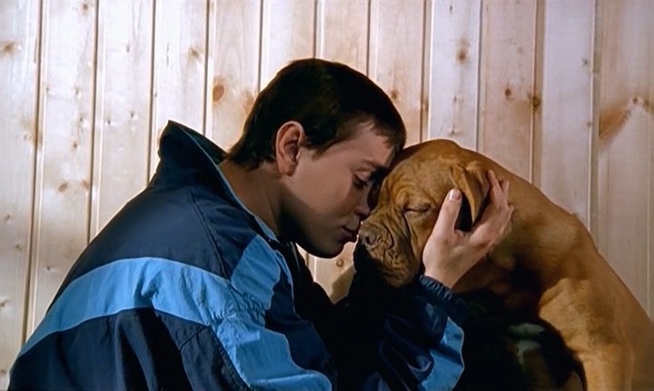 Мог стать зоофилом, но выбрал путь бандита. Меньшее из двух зол. 