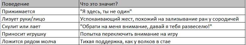 Что означают действия собаки во время того, когда вы грустите