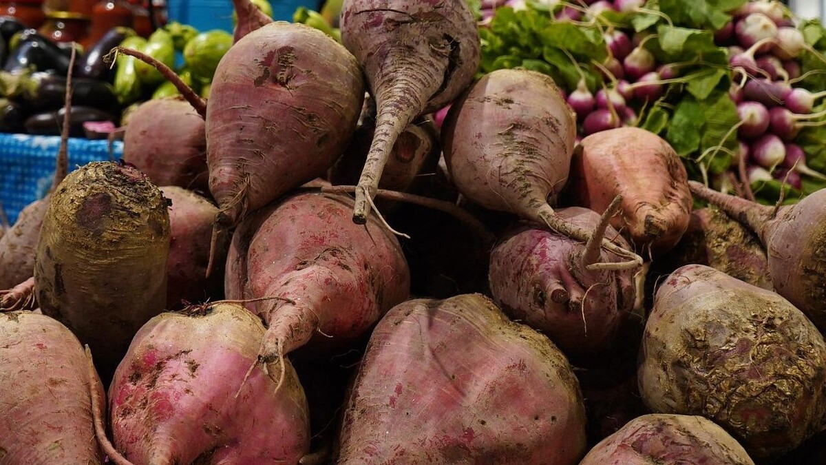    Фото: телеканал «Краснодар»