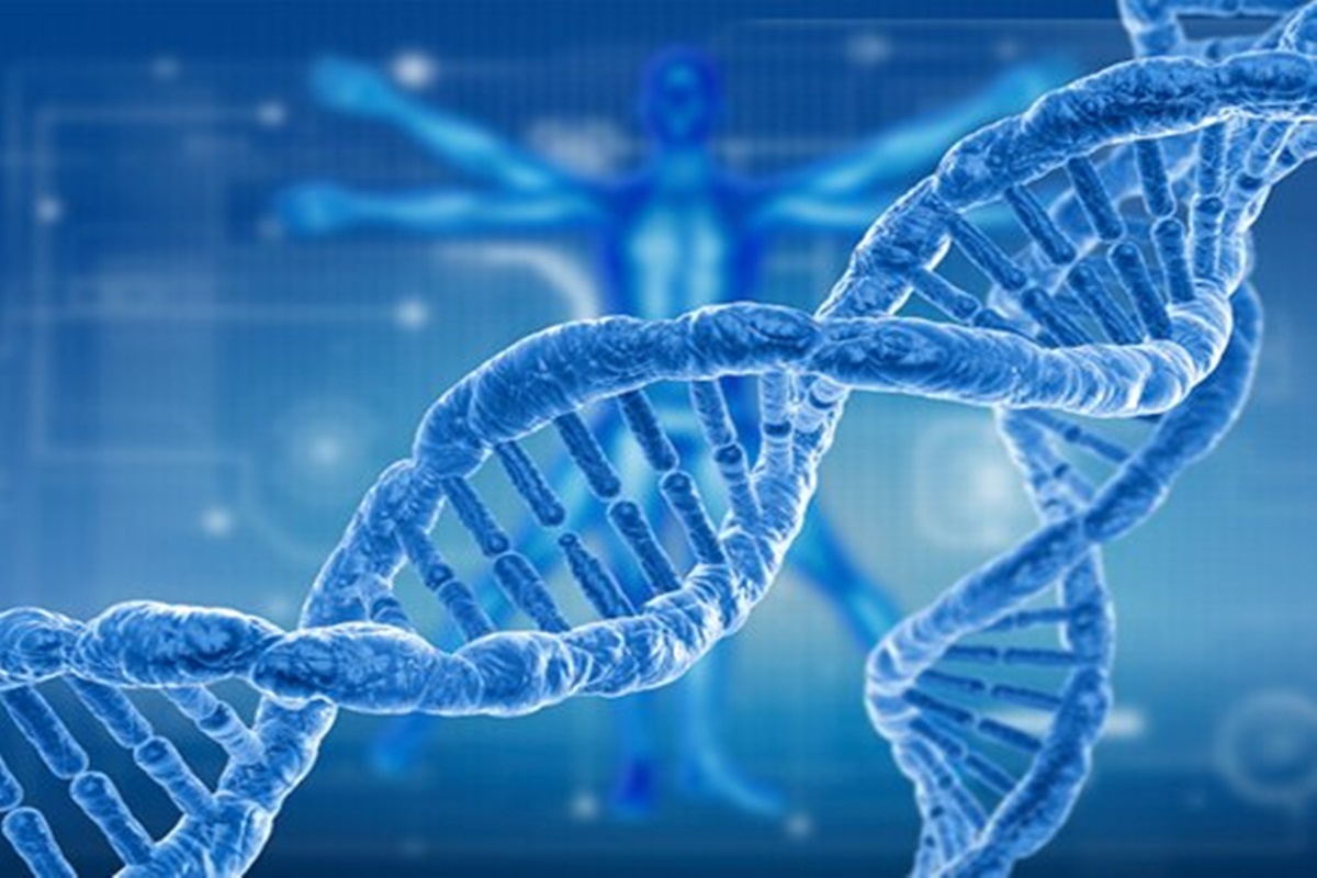 Двойная спираль ДНК Источник ilken.ru