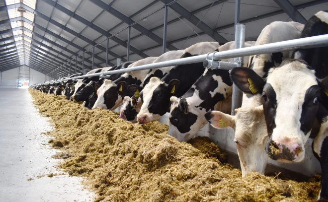    © Пресс-служба администрации Ленинградской области