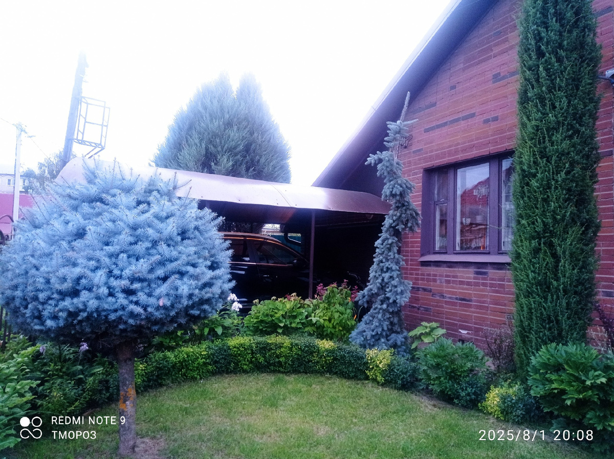 перед окнами