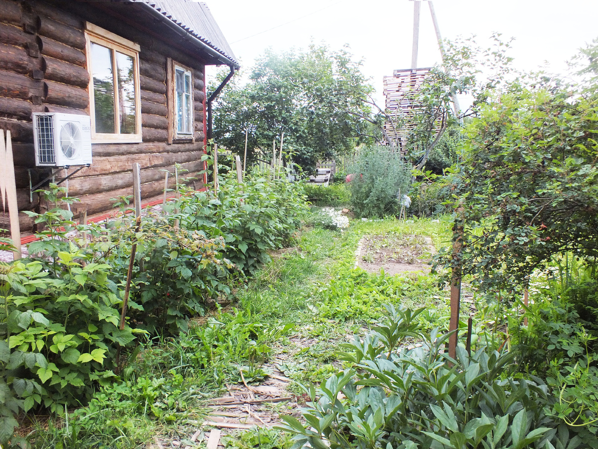 Наш домик несколько лет назад, спустя 2 года после переезда в деревню