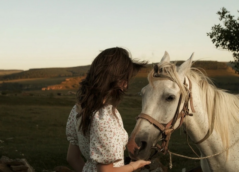 Источник: организатор