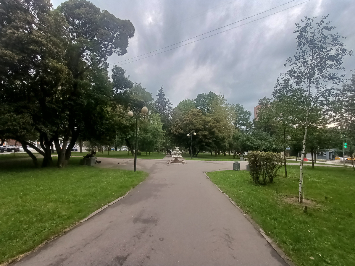 Нынешняя погода. И мои сегодняшние вкусы, тяготеющие к зелёным зонам 🌳