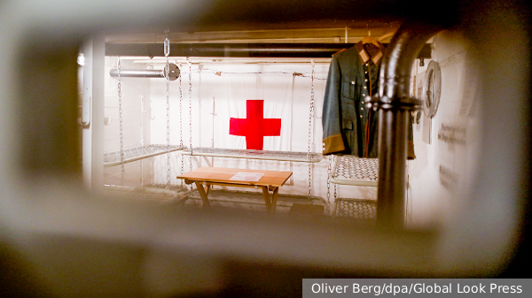     Фото: Oliver Berg/dpa/Global Look Press   
 Текст: Валерия Городецкая