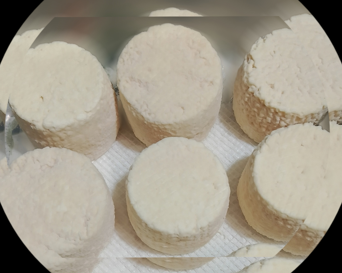 Наш молодой сыр, «Кроттен-де-шавиньоль». Сварен этот сыр 24 июля 2025 года.