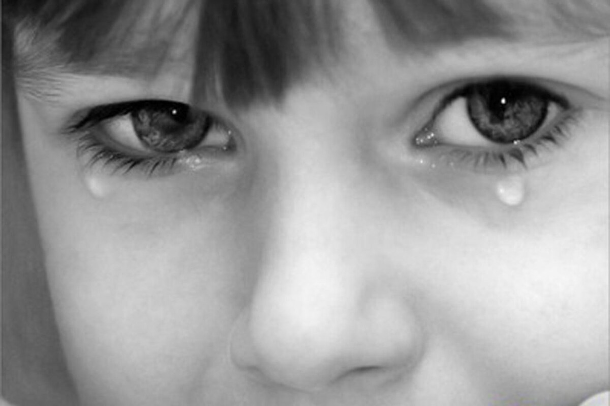 Яндекс. Картинки. 