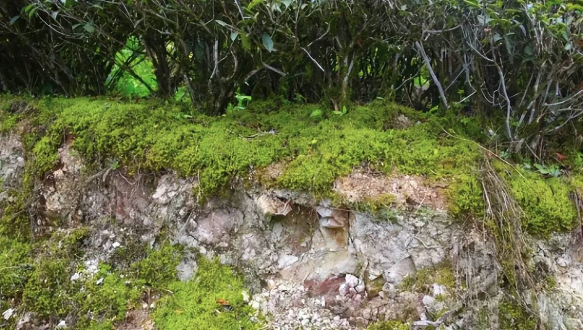 Скалистая почва Уишаньских гор