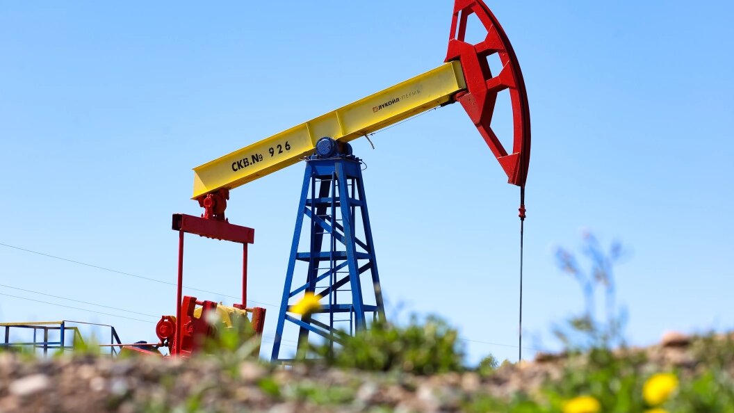    Elena Mayorova/Globallookpress