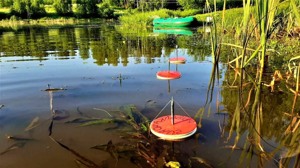 Почему опытные рыбаки молчат об этом способе ловли щуки