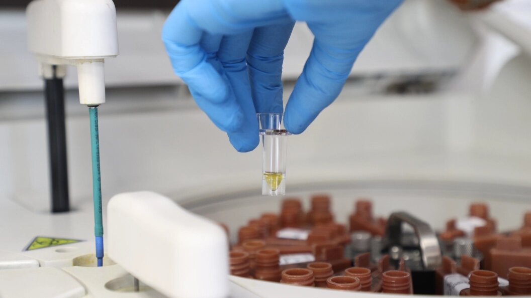    Artem Sobolev/Globallookpress