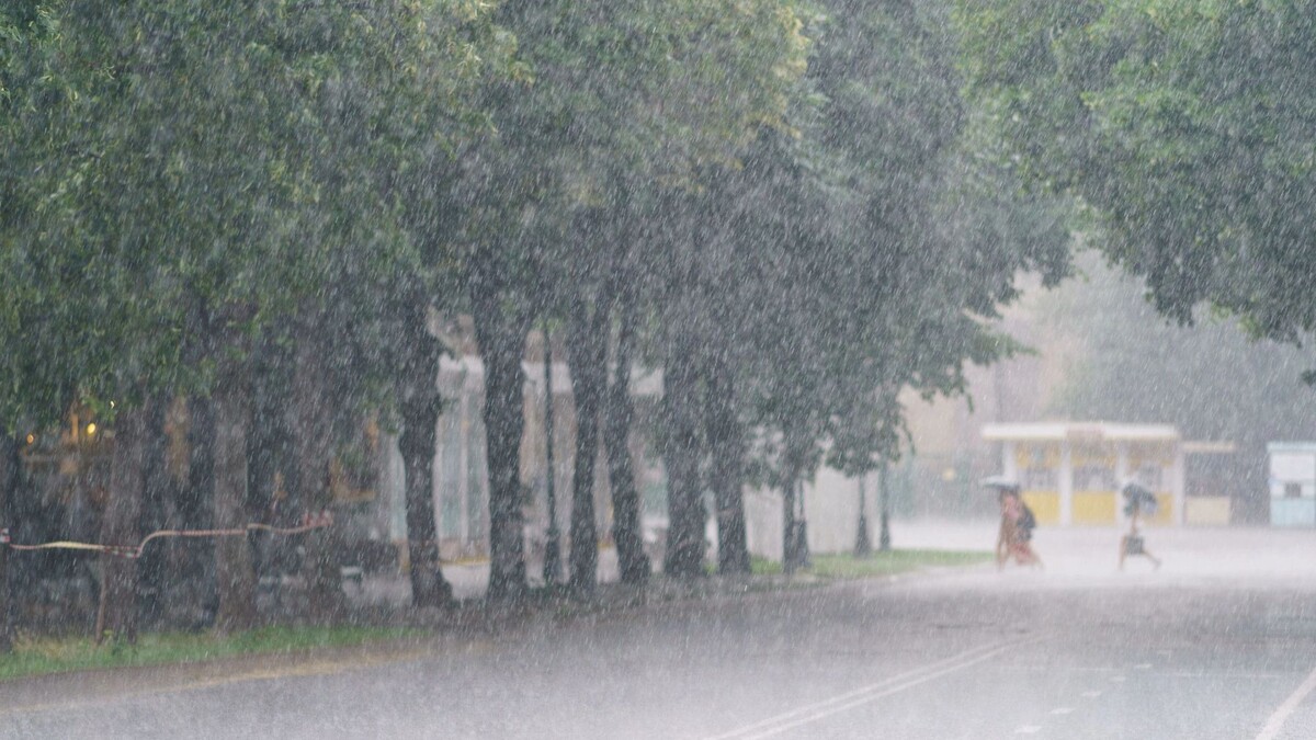    Фото: YuryKara/Shutterstock/Fotodom