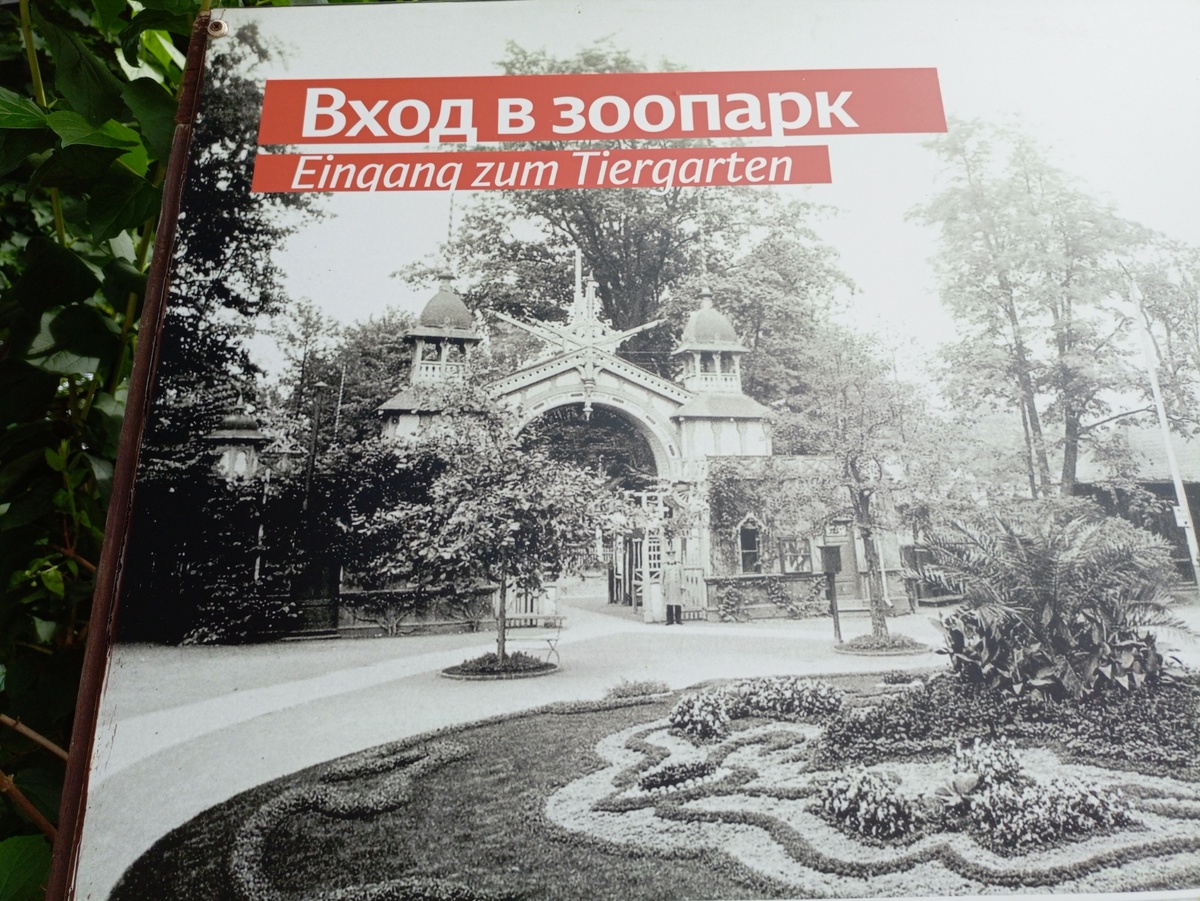 Таким был вход в зоопарк при открытии.