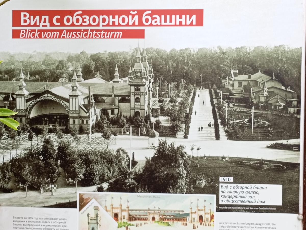 Так выглядел Кёнигсбергский зоопарк раньше.