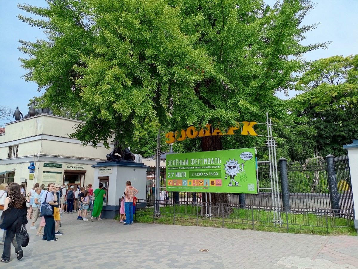 Вход в Калининградский зоопарк. И прямо перед вами - дерево Гинкго билоба. Оно росло ещё в эпоху динозавров!