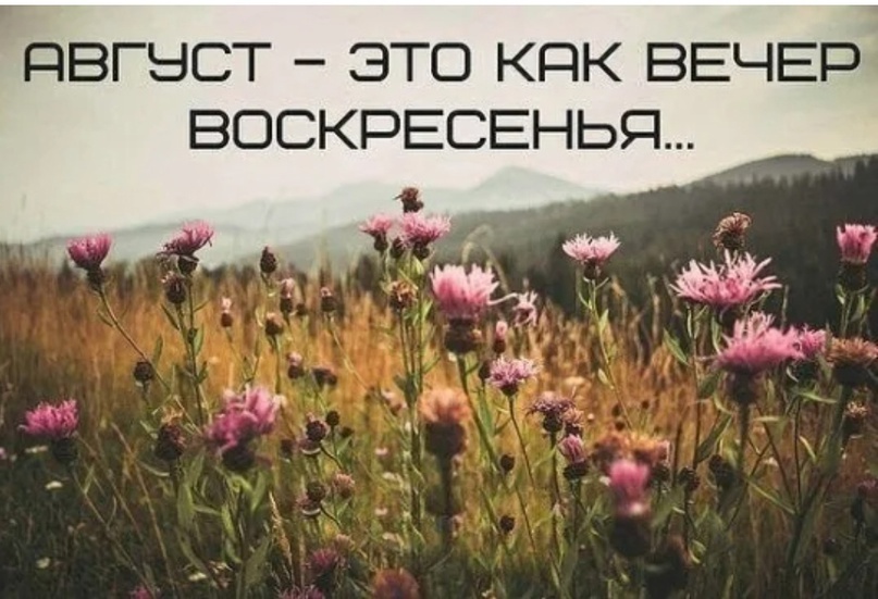 Фото взято из открытых источников. 