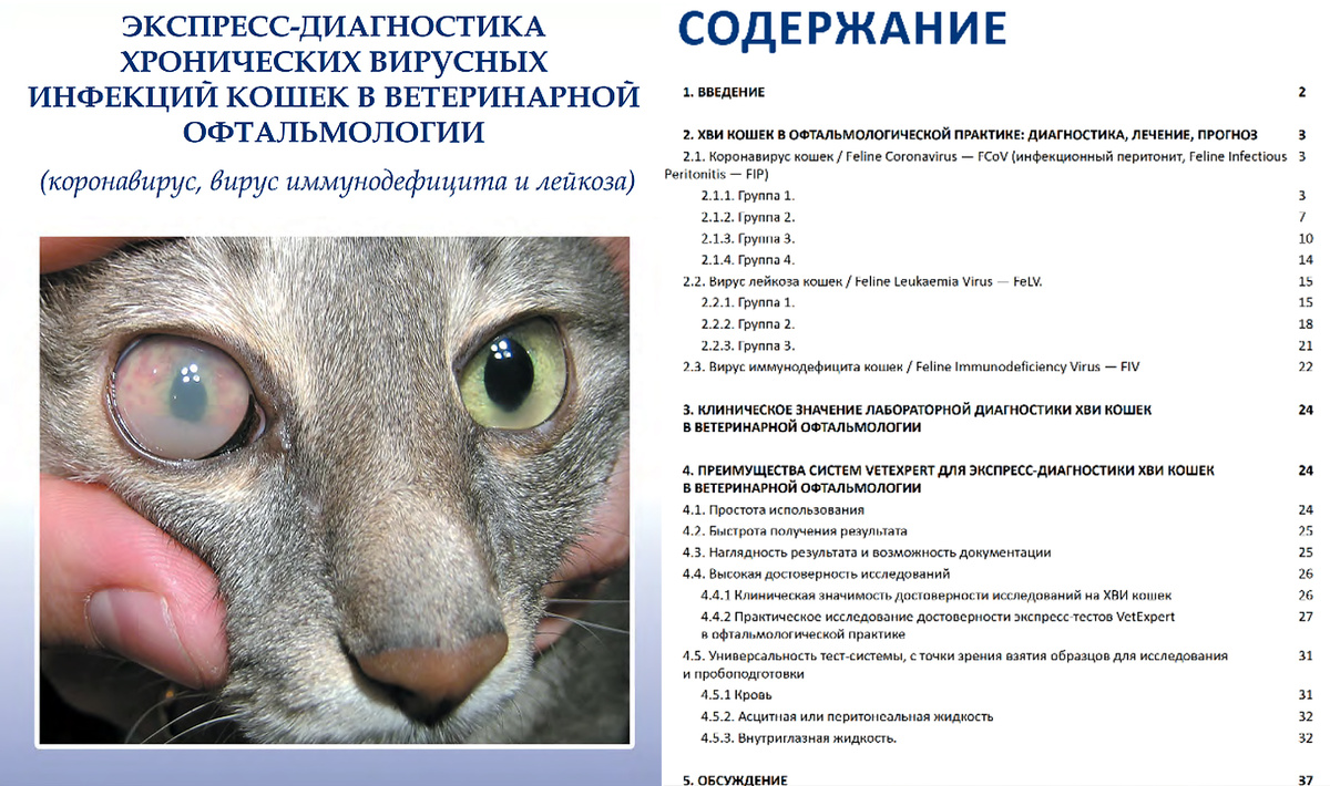 Рисунок 1. Книга: ЭКСПРЕСС-ДИАГНОСТИКА ХРОНИЧЕСКИХ ВИРУСНЫХ ИНФЕКЦИЙ КОШЕК В ВЕТЕРИНАРНОЙ ОФТАЛЬМОЛОГИИ (коронавирус, вирус иммунодефицита и лейкоза). Авторы: Перепечаев К.А., Меньшенина Е.С.