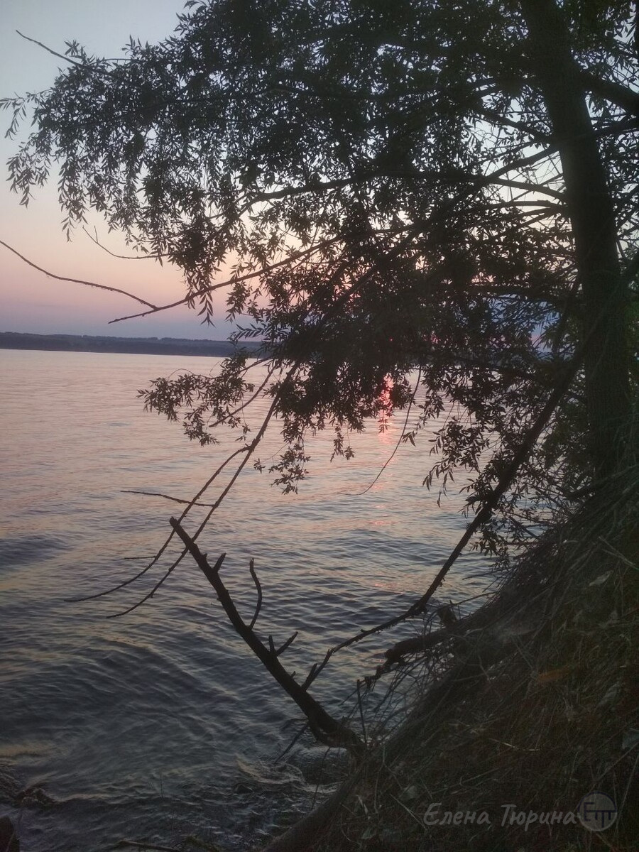 Фото: Елены Тюриной. Вид на открытую Волгу. Июль 2025 г.