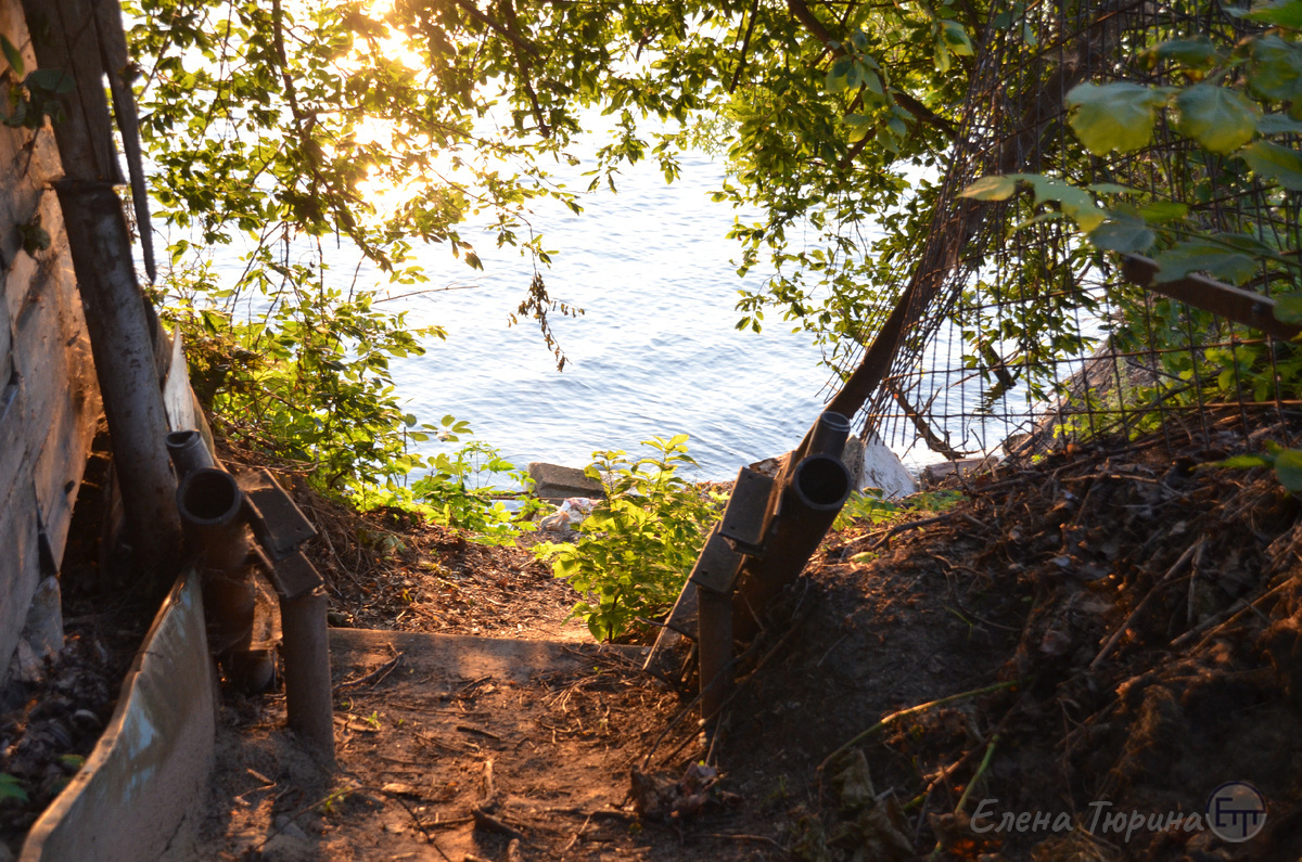 Фото; Елены Тюриной. Спуск с обрыва. Остров Зелёный. Июль. 2025 г.