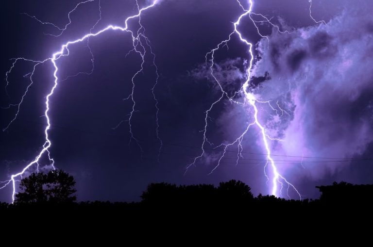    Фото: freepik.com/ wirestock Екатерина Шахнина