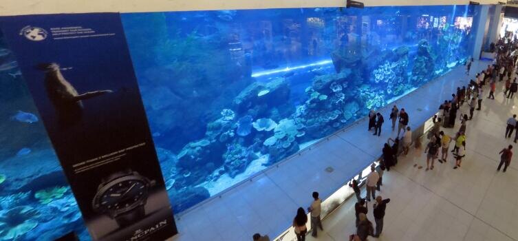    Фото: Виталий Медведь, личный архив